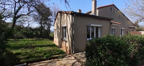 photo no. 2