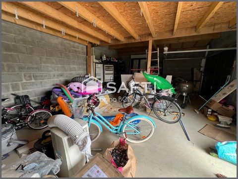 photo no. 12