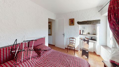photo no. 10
