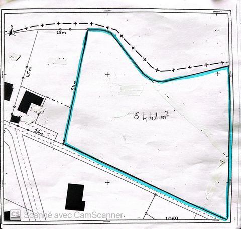 photo no. 4