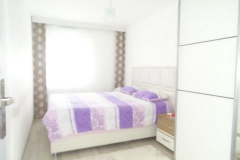 photo no. 4