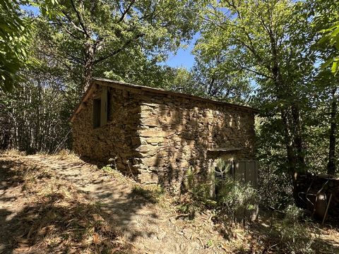 Mignonne cabane en pierre avec forêt, pour le « glamping »