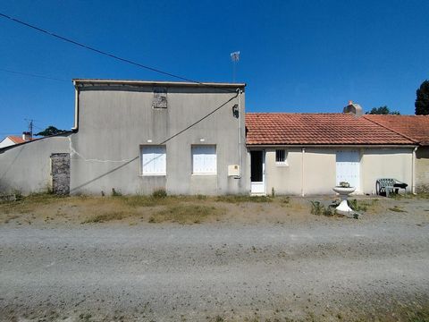 photo no. 7