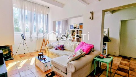 photo no. 12