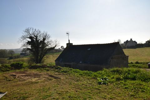 photo no. 2