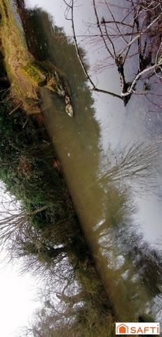 photo no. 7