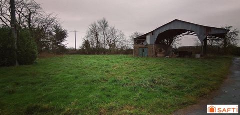 photo no. 8