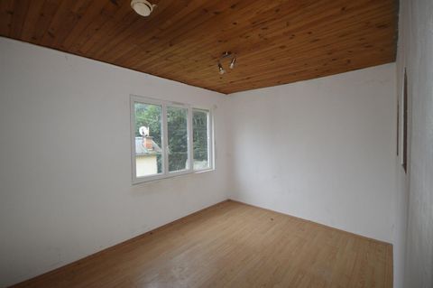 photo no. 7