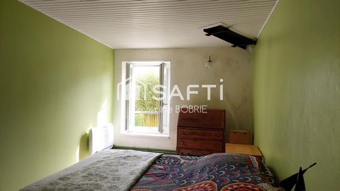 photo no. 5
