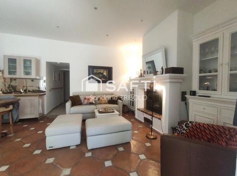 photo no. 13