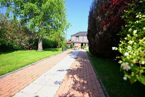photo no. 11