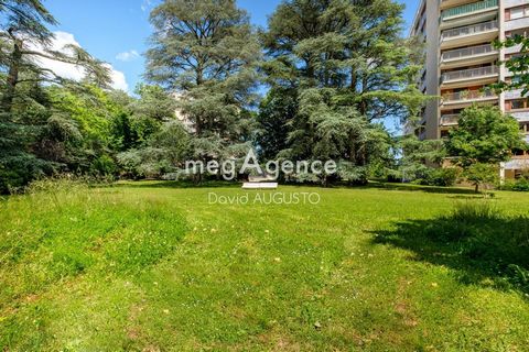 photo no. 8