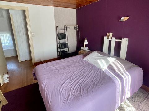 photo no. 11