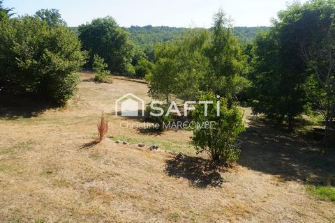 photo no. 16
