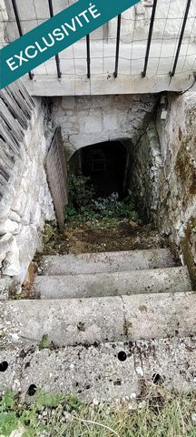 photo no. 5
