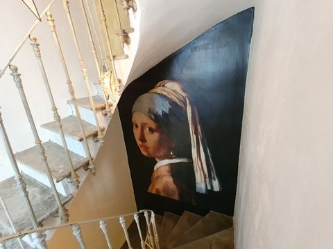 photo no. 7