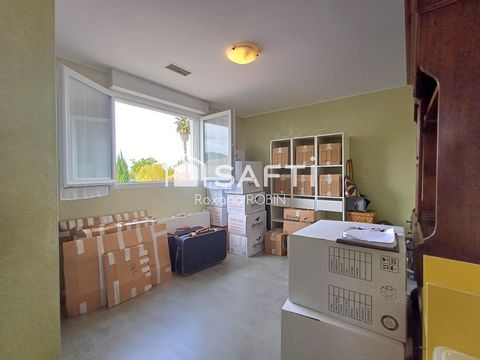 photo no. 13
