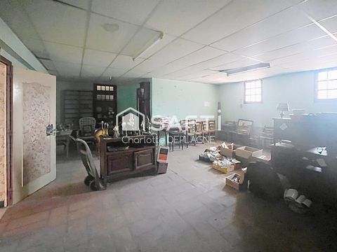 photo no. 3