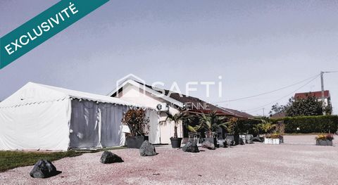 photo no. 14