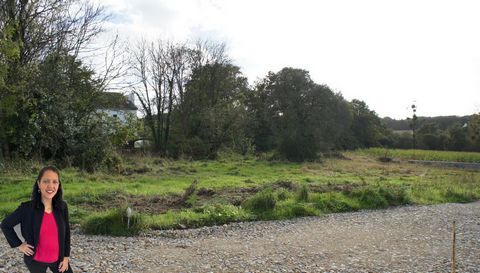 photo no. 3