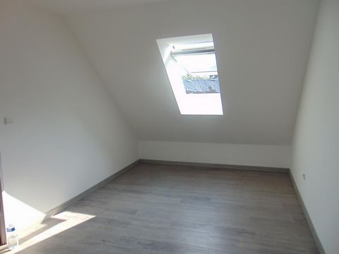 photo no. 6
