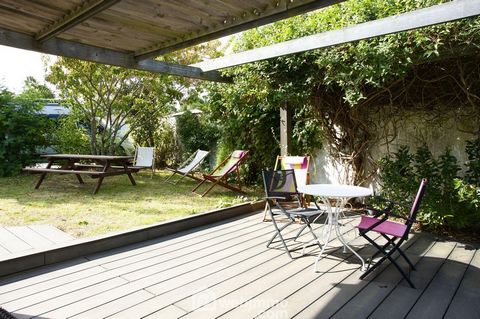 photo no. 12