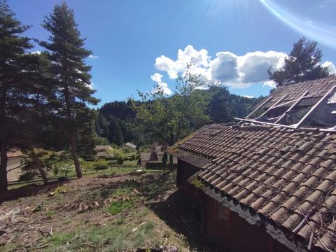 photo no. 3
