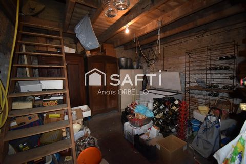 photo no. 11