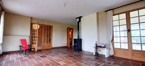 photo no. 6