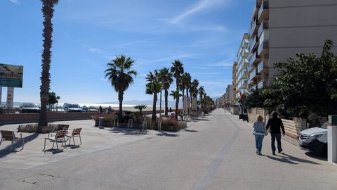 photo no. 13