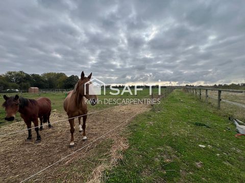 Plain pied individuel de 2015 - 1 hectare de parcelle -