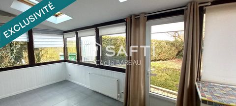 photo no. 12