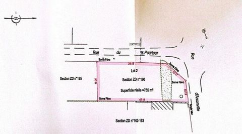 photo no. 4