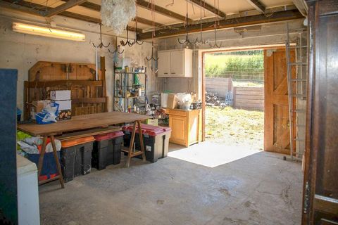 photo no. 12