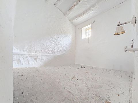 photo no. 10