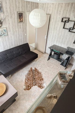 photo no. 6