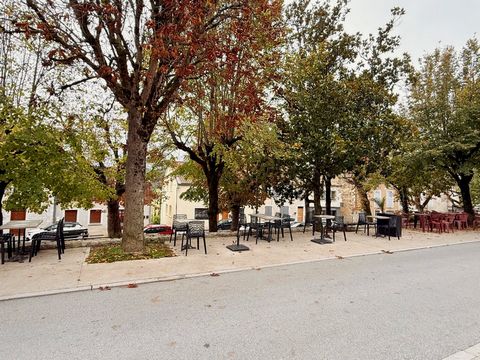 photo no. 6