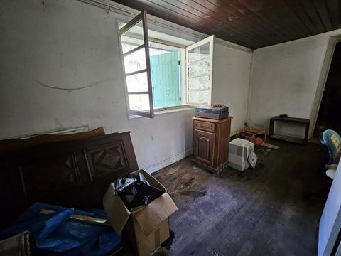 photo no. 2