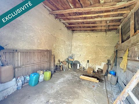 photo no. 10