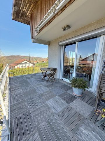 photo no. 12