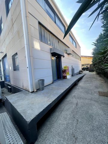 photo no. 2