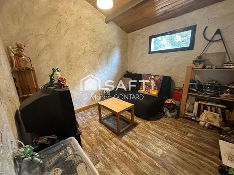 photo no. 13
