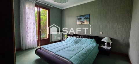photo no. 11