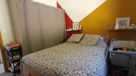 photo no. 12
