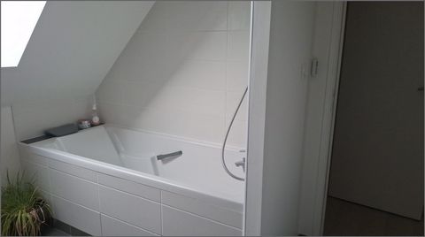 photo no. 13