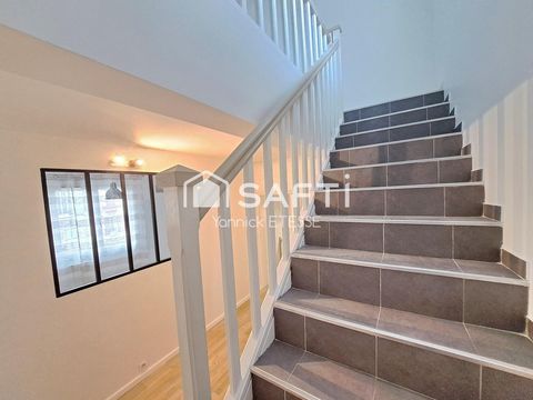photo no. 11