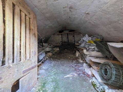 photo no. 9