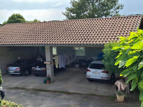 photo no. 16