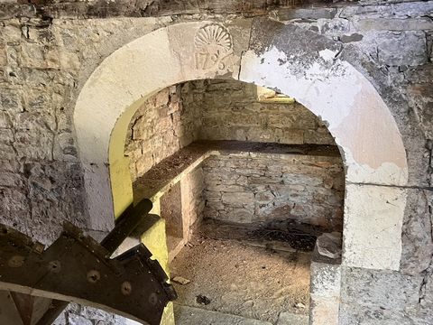photo no. 15