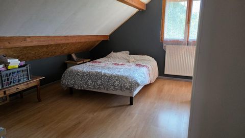 photo no. 10